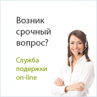 Поддержка on-line